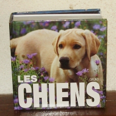 Image pour l'annonce Les Chiens (photographies)