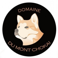 Image pour l'annonce Vend chiots Akita Inu Domaine du Mont Chokaï